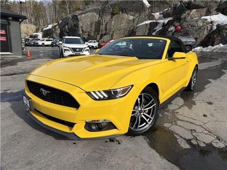 2017 Ford Mustang EcoBoost Premium (Stk: 14838) in Sudbury - Image 1 of 17