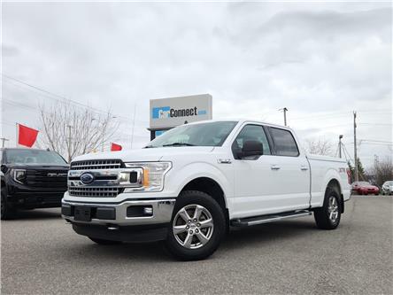 2019 Ford F-150 XLT in Ottawa - Image 1 of 7 2019 Ford F-150 XLT in Ottawa - Image 1 of 7