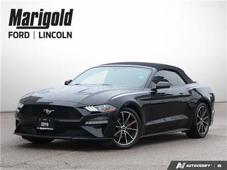 2019 Ford Mustang EcoBoost (Stk: 6-26ER0107B) in Whitby - Image 1 of 32 2019 Ford Mustang EcoBoost (Stk: 6-26ER0107B) in Whitby - Image 1 of 32