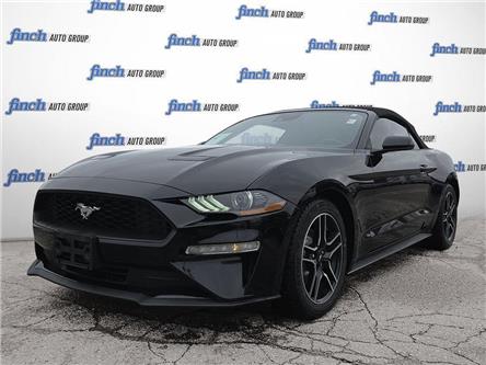 2023 Ford Mustang EcoBoost (Stk: 984) in Kitchener - Image 1 of 24