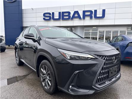 2023 Lexus NX 350 Base (Stk: H134) in Newmarket - Image 1 of 30 2023 Lexus NX 350 Base (Stk: H134) in Newmarket - Image 1 of 30