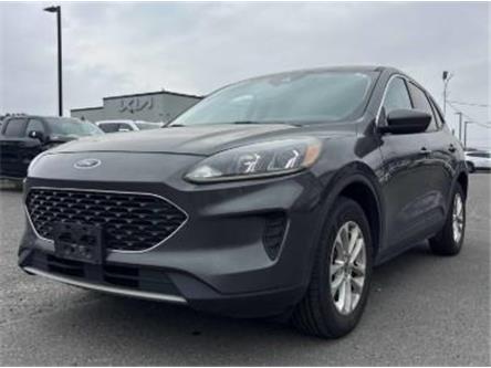 2020 Ford Escape SE (Stk: B89184) in Okotoks - Image 1 of 5
