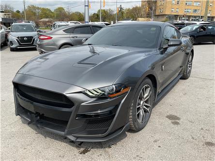 2019 Ford Mustang (Stk: 260221A) in Ottawa - Image 1 of 31 2019 Ford Mustang (Stk: 260221A) in Ottawa - Image 1 of 31