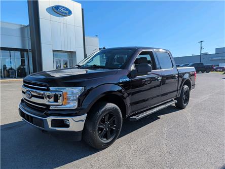 2020 Ford F-150 (Stk: F5401A) in Miramichi - Image 1 of 13 2020 Ford F-150 (Stk: F5401A) in Miramichi - Image 1 of 13