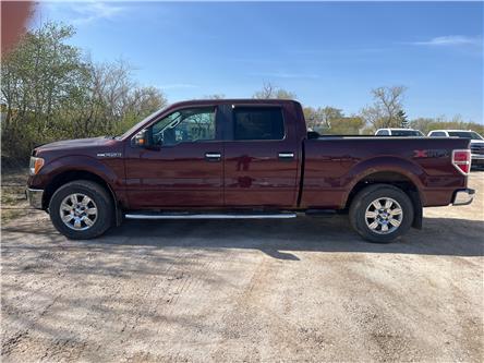2010 Ford F-150  (Stk: 26P022A) in Wadena - Image 1 of 14