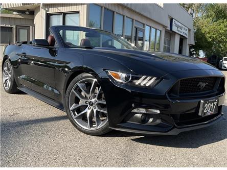 2017 Ford Mustang GT Premium (Stk: 4979) in KITCHENER - Image 1 of 38 2017 Ford Mustang GT Premium (Stk: 4979) in KITCHENER - Image 1 of 38
