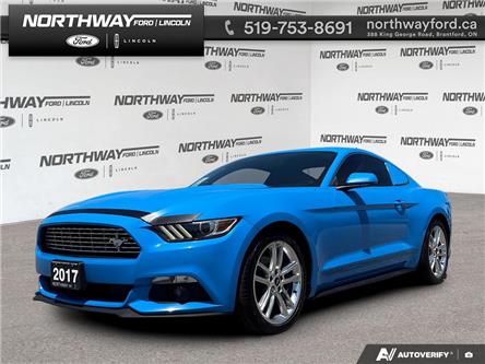 2017 Ford Mustang EcoBoost Premium (Stk: 6BR8156B) in Brantford - Image 1 of 22