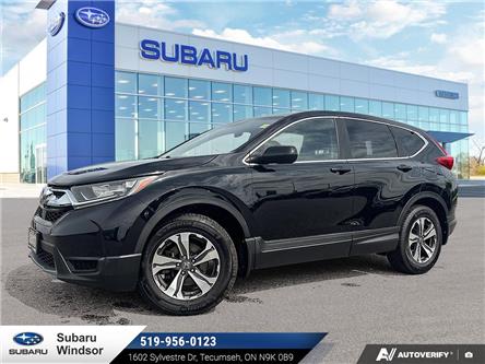 2017 Honda CR-V LX (Stk: 6128A) in Tecumseh - Image 1 of 26
