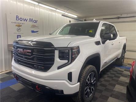 2026 GMC Sierra 1500 AT4 (Stk: 26253) in TISDALE - Image 1 of 20