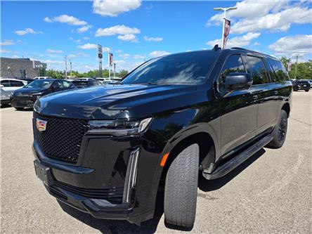 2023 Cadillac Escalade ESV Sport (Stk: 175798) in London - Image 1 of 11