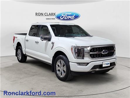 2021 Ford F-150 Platinum (Stk: 17176-1) in Wyoming - Image 1 of 15