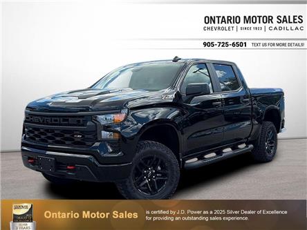 2026 Chevrolet Silverado 1500 Custom Trail Boss (Stk: 2-13856) in Oshawa - Image 1 of 21 2026 Chevrolet Silverado 1500 Custom Trail Boss (Stk: 2-13856) in Oshawa - Image 1 of 21