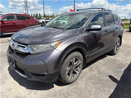 2017 Honda CR-V LX (Stk: 26256A) in Steinbach - Image 1 of 4