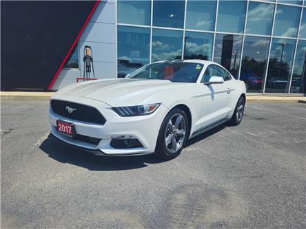 2017 Ford Mustang V6 (Stk: M905A) in Cornwall - Image 1 of 11