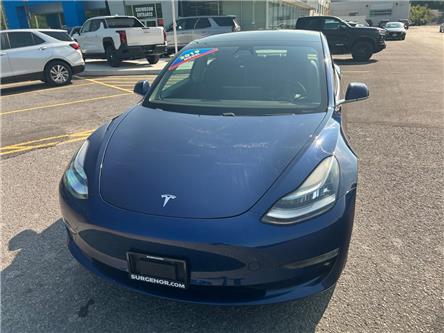 2019 Tesla Model 3 Standard Range Plus (Stk: 270014A) in Ottawa - Image 1 of 11