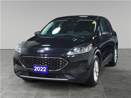 2022 Ford Escape SE (Stk: N26143A) in Sault Ste. Marie - Image 1 of 15