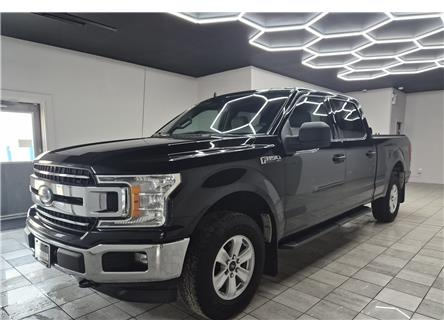 2019 Ford F-150 XLT (Stk: WB37619) in Shellbrook - Image 1 of 19