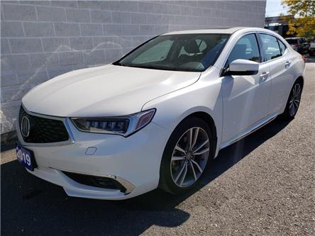 Kingston Car Dealerships >> 2019 Acura Tlx Kingston Car Dealerships >> 2019 Acura Tlx