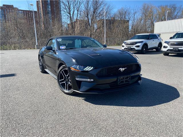 2018 Ford Mustang  (Stk: DV1144A) in Ottawa - Image 1 of 22