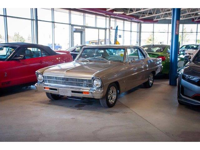 1967 Chevrolet Nova Nova, Gorgeous Car, Must See! (Stk: R5024) in Edmonton - Image 1 of 22