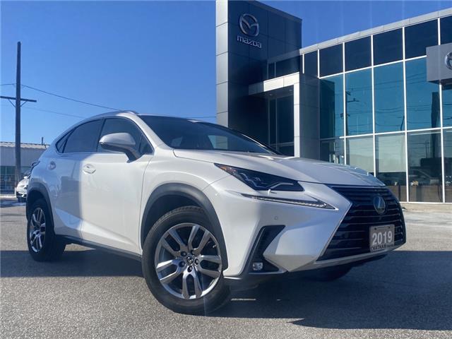 2019 Lexus NX 300  (Stk: UM3064) in Chatham - Image 1 of 25
