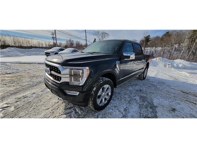 2022 Ford F-150 Platinum (Stk: F453) in Miramichi - Image 1 of 14