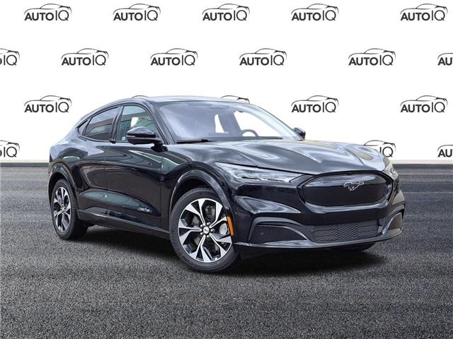 2022 Ford Mustang Mach-E Premium (Stk: 220769) in Hamilton - Image 1 of 21