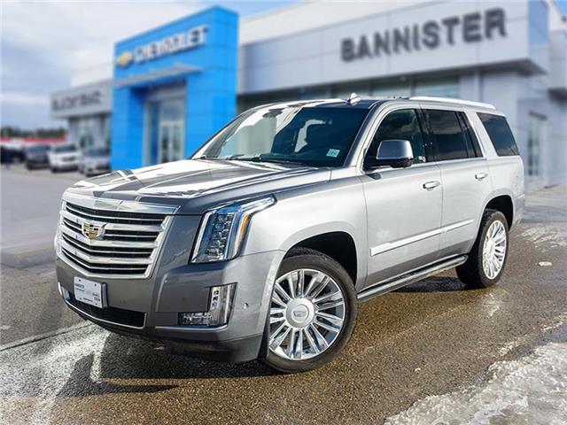 2019 Cadillac Escalade Platinum (Stk: P23-123) in Edson - Image 1 of 20
