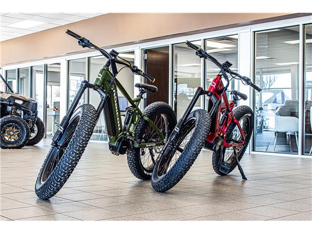 2021 Jeep EBIKE  (Stk: E0008) in Petawawa - Image 1 of 1