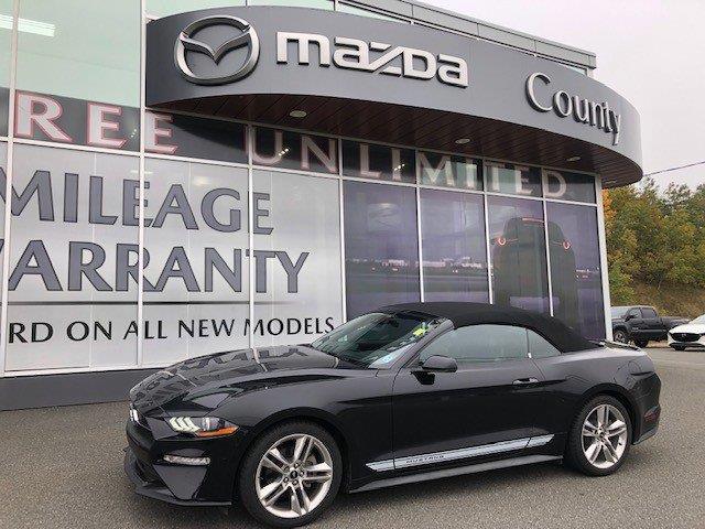 2021 Ford Mustang EcoBoost Premium (Stk: S21195) in New Glasgow - Image 1 of 18