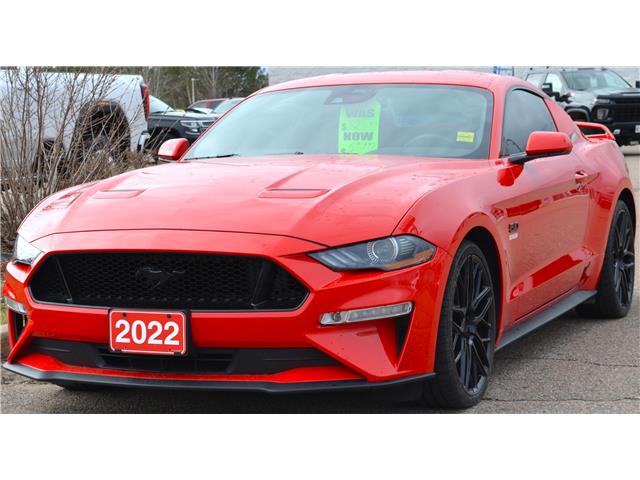 2022 Ford Mustang GT (Stk: P7532) in Pembroke - Image 1 of 13