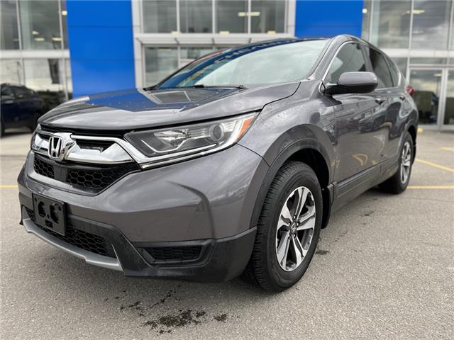 2019 Honda CR-V LX (Stk: N16031A) in Newmarket - Image 1 of 13