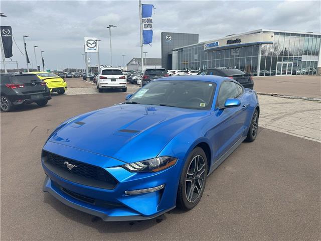 2020 Ford Mustang EcoBoost (Stk: PA8991) in Dieppe - Image 1 of 16