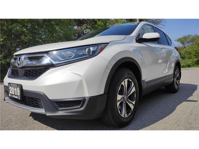 2019 Honda CR-V LX (Stk: 43829A) in Newmarket - Image 1 of 50