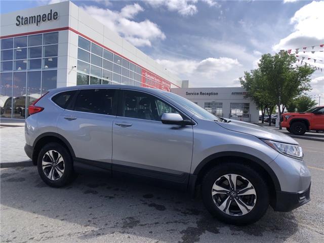 2018 Honda CR-V LX (Stk: 230534A) in Calgary - Image 1 of 11