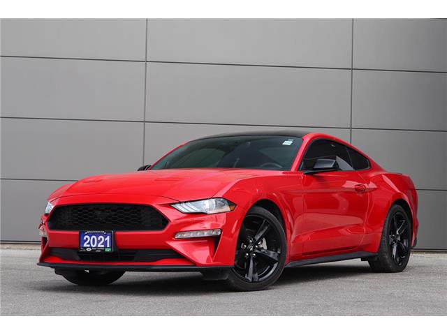 2021 Ford Mustang  (Stk: PO02860) in London - Image 1 of 40