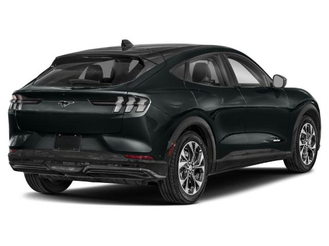 mustang suv black