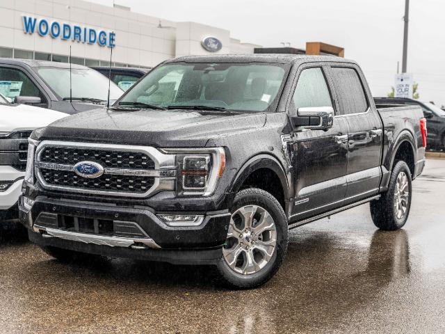 2023 Ford F-150 Platinum (Stk: P-1775) in Calgary - Image 1 of 26