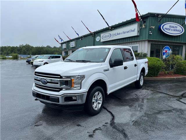 2020 Ford F-150 XLT (Stk: 11601) in Lower Sackville - Image 1 of 18