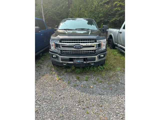 2018 Ford F-150 XLT (Stk: 22142A) in La Malbaie - Image 1 of 1