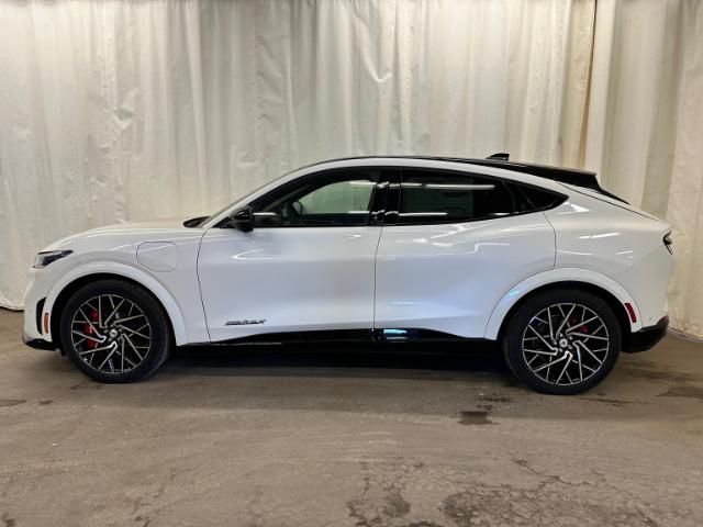 2022 Ford Mustang Mach-E GT Performance Edition