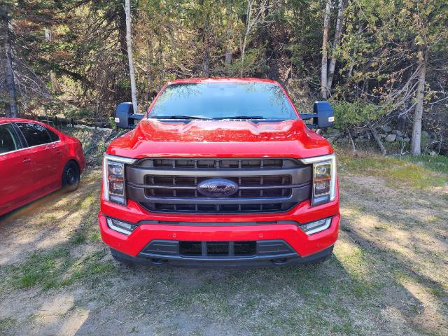 2022 Ford F-150 Lariat (Stk: 22131A) in La Malbaie - Image 1 of 5
