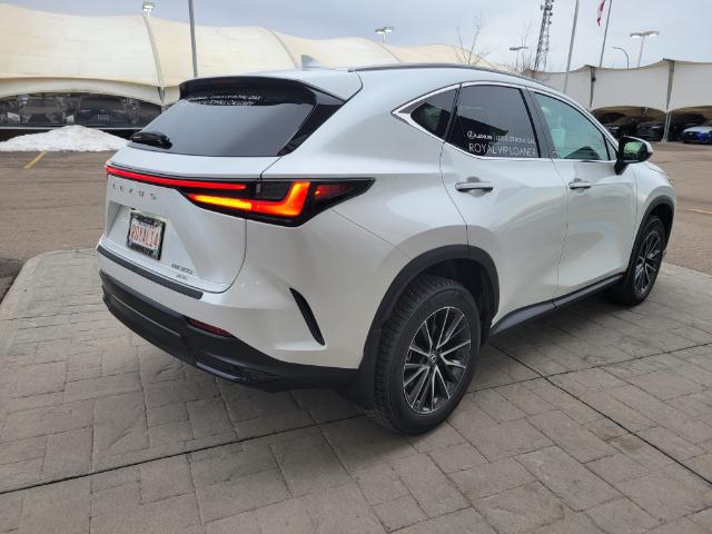 Lexus Nx Base Premium Package Zero Accidents Full Xpel At For Sale In