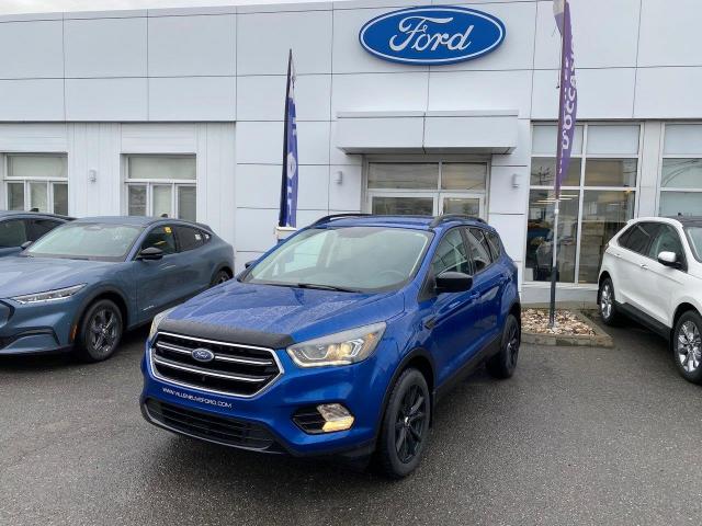 2017 Ford Escape SE (Stk: 4910a) in Matane - Image 1 of 17