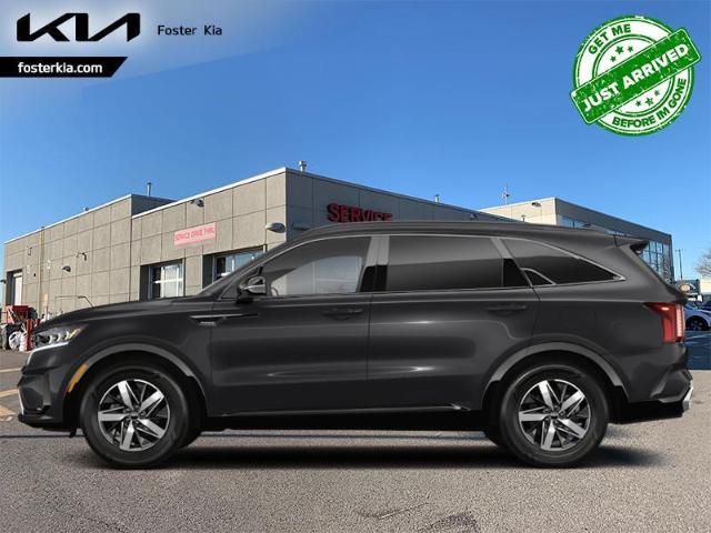 2023 Kia Sorento  (Stk: 240486) in Toronto - Image 1 of 1