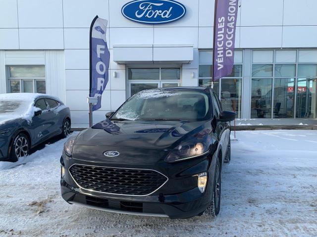 2020 Ford Escape SEL (Stk: 4817A) in Matane - Image 1 of 16