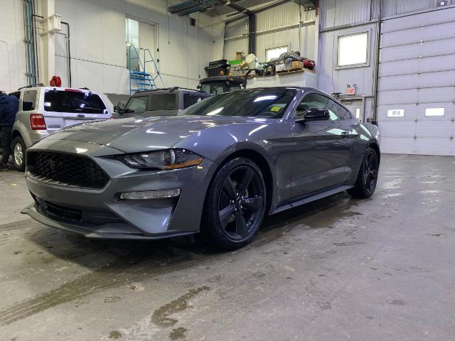 Used 2021 Ford Mustang EcoBoost  - Melfort - Melody Motors Inc