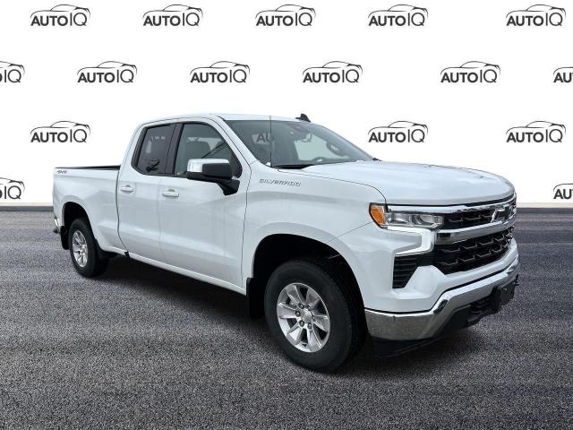 2024 Chevrolet Silverado 1500 LT (Stk: 24C42SL) in Tillsonburg - Image 1 of 20