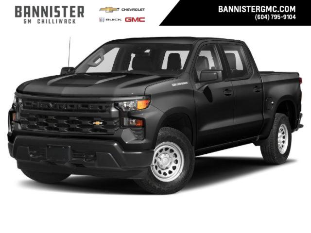 2024 Chevrolet Silverado 1500 High Country (Stk: 248-3924) in Chilliwack - Image 1 of 11