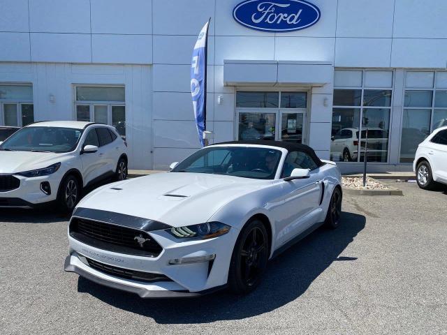 2019 Ford Mustang GT Premium (Stk: 3770A) in Matane - Image 1 of 12